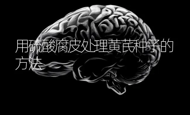 用硫酸腐皮处理黄芪种子的方法 | 养殖技术大全