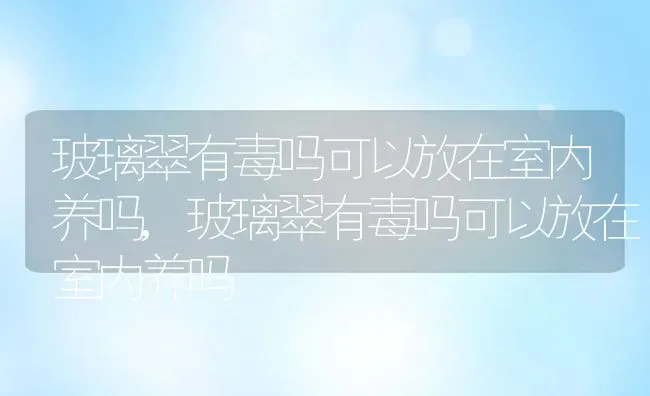 玻璃翠有毒吗可以放在室内养吗,玻璃翠有毒吗可以放在室内养吗 | 养殖科普