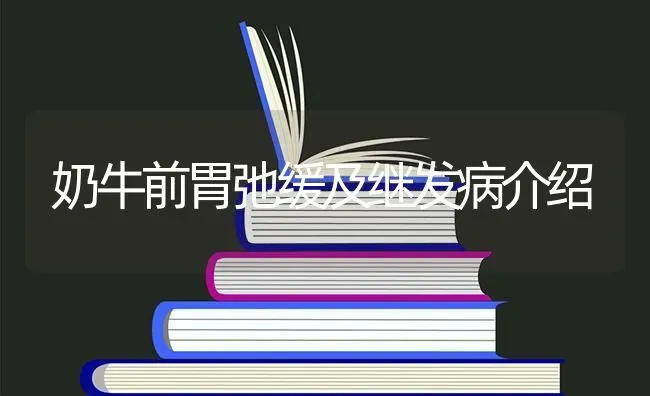 奶牛前胃弛缓及继发病介绍 | 养殖技术大全