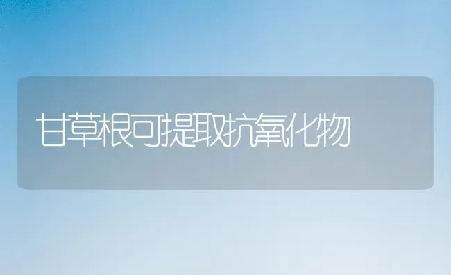 甘草根可提取抗氧化物 | 养殖技术大全