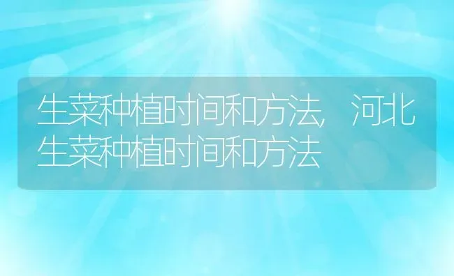 生菜种植时间和方法,河北生菜种植时间和方法 | 养殖学堂