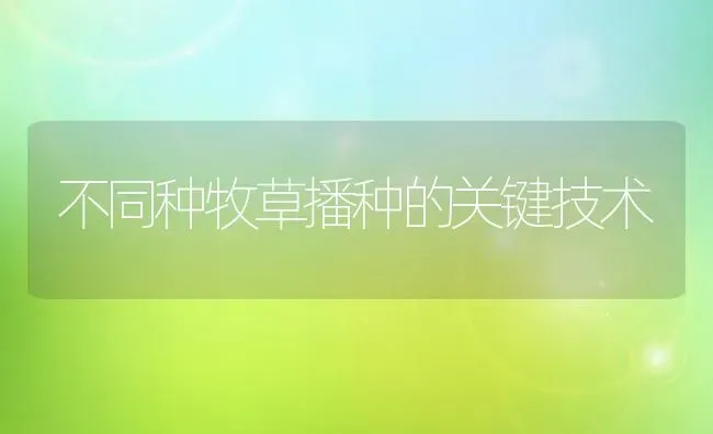 不同种牧草播种的关键技术 | 养殖技术大全