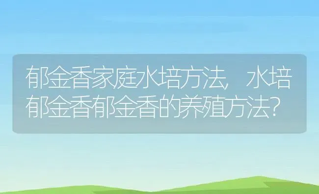 郁金香家庭水培方法,水培郁金香郁金香的养殖方法？ | 养殖科普