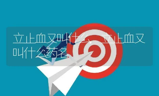立止血又叫什么,立止血又叫什么药名 | 养殖科普