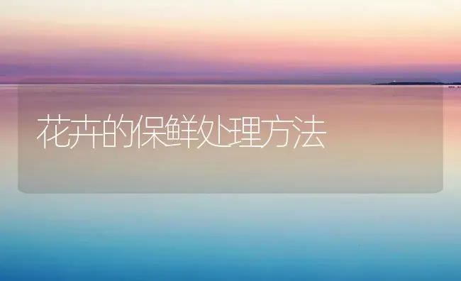花卉的保鲜处理方法 | 养殖知识
