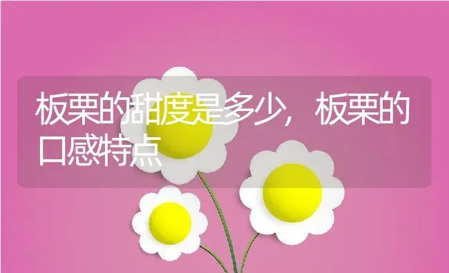 板栗的甜度是多少,板栗的口感特点 | 养殖学堂