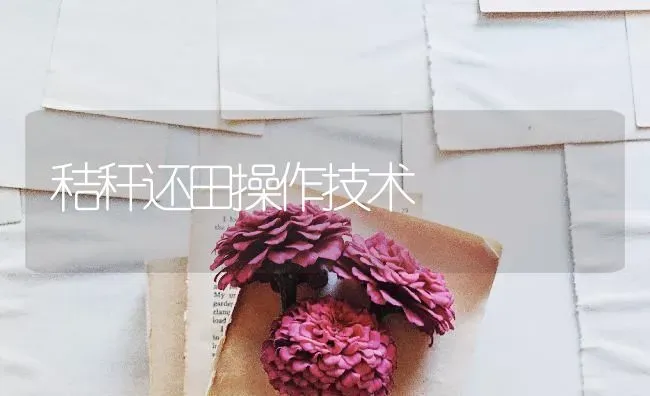 秸秆还田操作技术 | 养殖技术大全