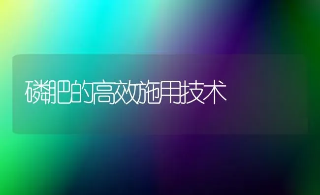 磷肥的高效施用技术 | 养殖技术大全