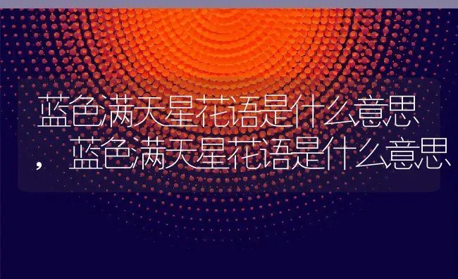 蓝色满天星花语是什么意思,蓝色满天星花语是什么意思 | 养殖科普