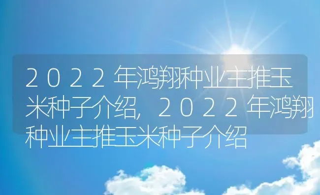 2022年鸿翔种业主推玉米种子介绍,2022年鸿翔种业主推玉米种子介绍 | 养殖科普