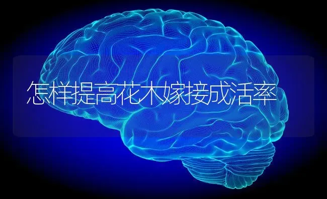 怎样提高花木嫁接成活率 | 养殖知识