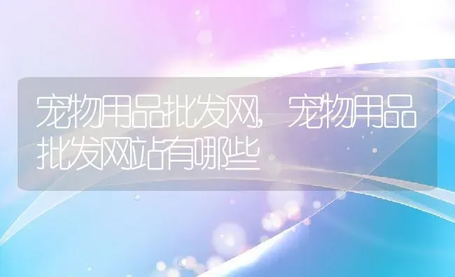 宠物用品批发网,宠物用品批发网站有哪些 | 养殖资料