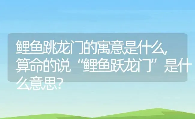 鲤鱼跳龙门的寓意是什么,算命的说“鲤鱼跃龙门”是什么意思？ | 养殖科普