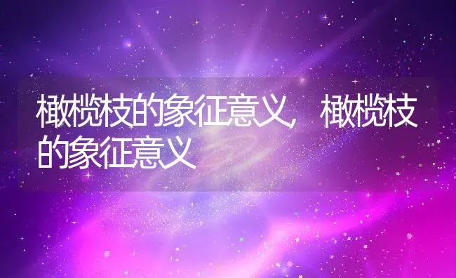 橄榄枝的象征意义,橄榄枝的象征意义 | 养殖科普