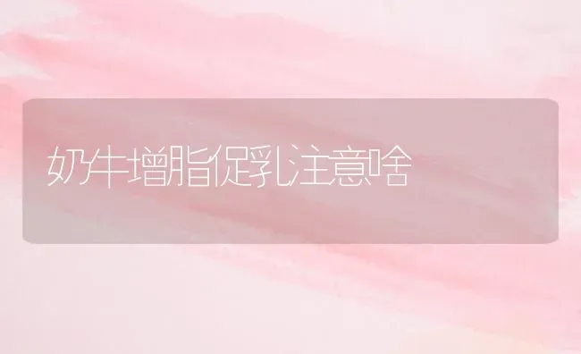 奶牛增脂促乳注意啥 | 养殖知识