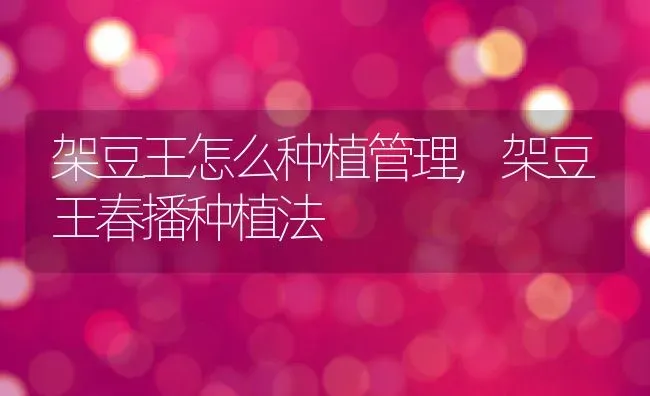 架豆王怎么种植管理,架豆王春播种植法 | 养殖学堂