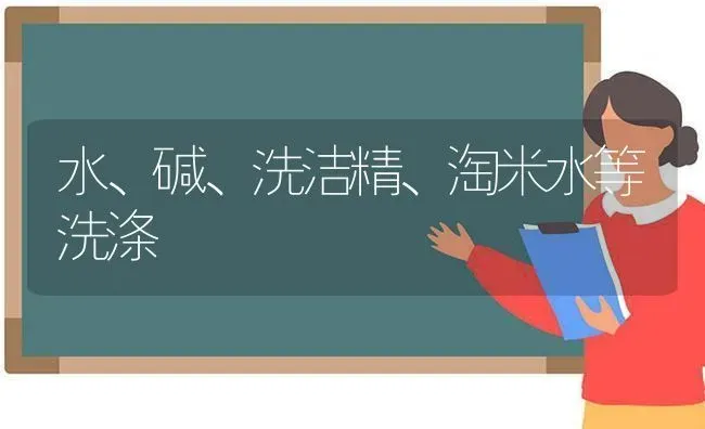 水、碱、洗洁精、淘米水等洗涤 | 养殖技术大全