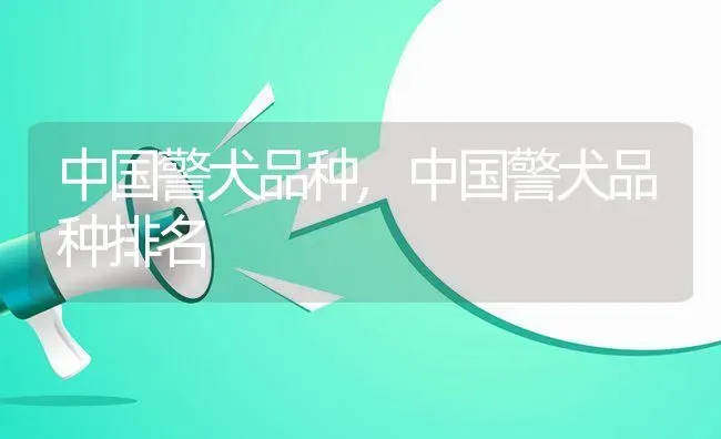 中国警犬品种,中国警犬品种排名 | 养殖科普