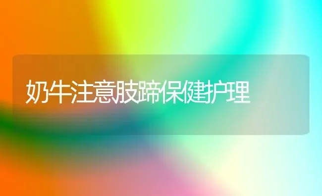 奶牛注意肢蹄保健护理 | 养殖技术大全