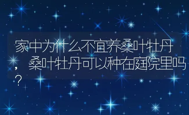 家中为什么不宜养桑叶牡丹,桑叶牡丹可以种在庭院里吗？ | 养殖学堂