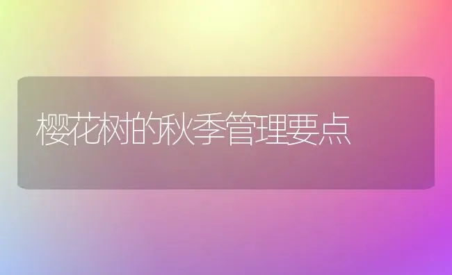 樱花树的秋季管理要点 | 养殖知识