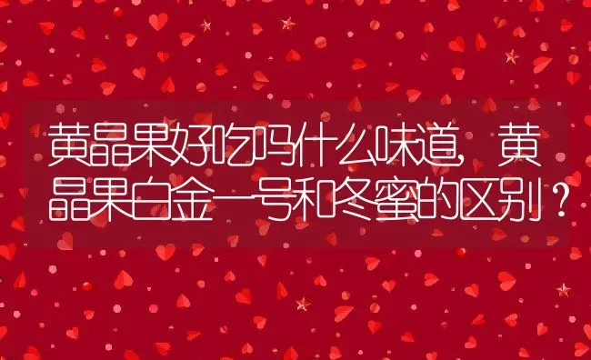 黄晶果好吃吗什么味道,黄晶果白金一号和冬蜜的区别？ | 养殖科普