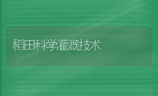 稻田科学灌溉技术 | 养殖知识