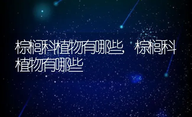 棕榈科植物有哪些,棕榈科植物有哪些 | 养殖科普