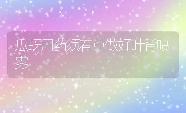 瓜蚜用药须着重做好叶背喷雾 | 养殖技术大全