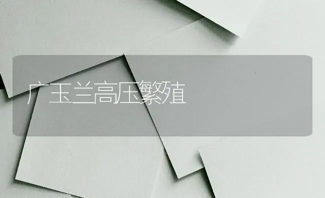 广玉兰高压繁殖 | 养殖技术大全