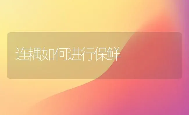 连耦如何进行保鲜 | 养殖技术大全