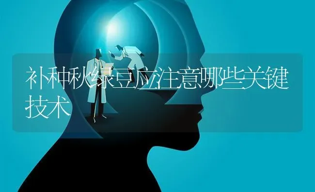 补种秋绿豆应注意哪些关键技术 | 养殖知识