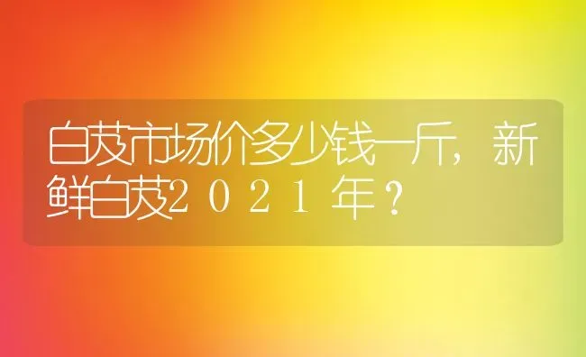 白芨市场价多少钱一斤,新鲜白芨2021年？ | 养殖科普