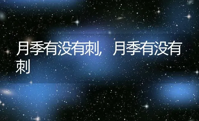 月季有没有刺,月季有没有刺 | 养殖科普