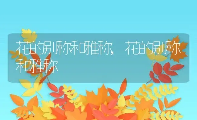 花的别称和雅称,花的别称和雅称 | 养殖科普