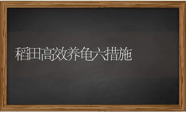 稻田高效养龟六措施 | 养殖知识