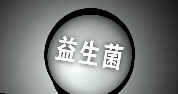 泰迪不吃东西怎么回事,泰迪不吃饭怎么办？