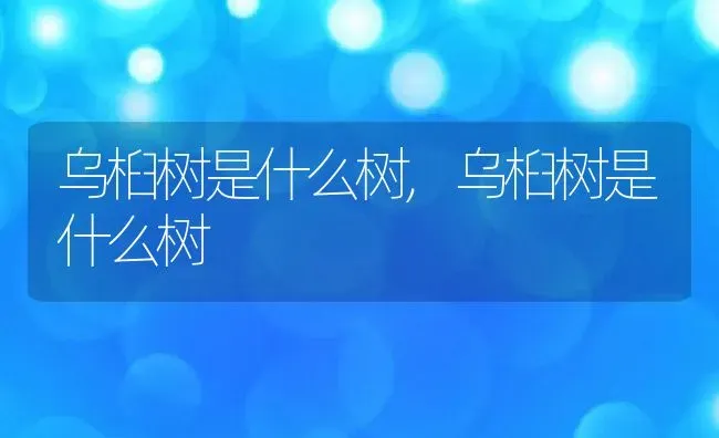 乌桕树是什么树,乌桕树是什么树 | 养殖科普