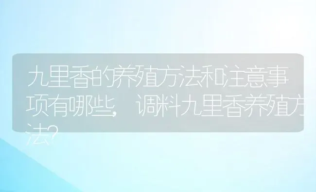 九里香的养殖方法和注意事项有哪些,调料九里香养殖方法？ | 养殖科普