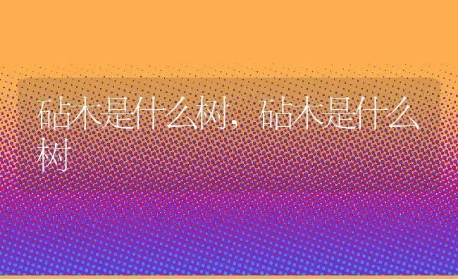砧木是什么树,砧木是什么树 | 养殖科普