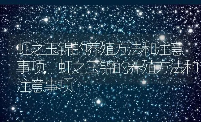 虹之玉锦的养殖方法和注意事项,虹之玉锦的养殖方法和注意事项 | 养殖科普