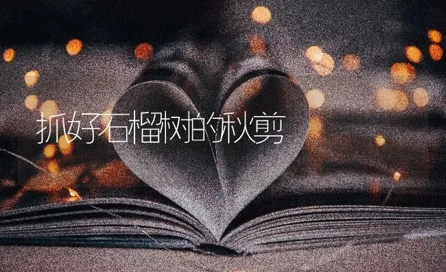 抓好石榴树的秋剪 | 养殖知识