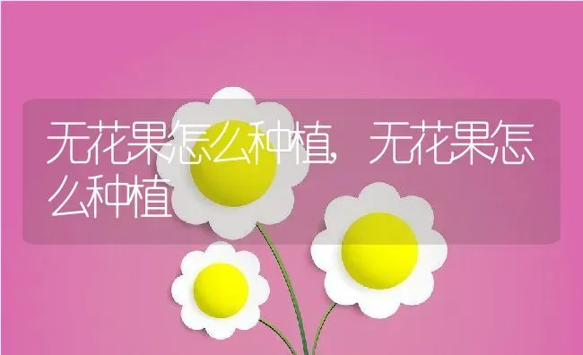 金鱼怎么繁殖,金鱼怎么繁殖后代的视频 | 养殖科普