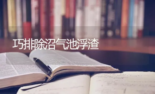 巧排除沼气池浮渣 | 养殖知识
