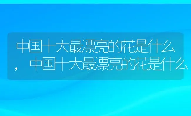 中国十大最漂亮的花是什么,中国十大最漂亮的花是什么 | 养殖科普