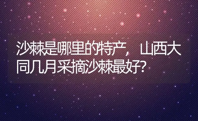 沙棘是哪里的特产,山西大同几月采摘沙棘最好？ | 养殖科普