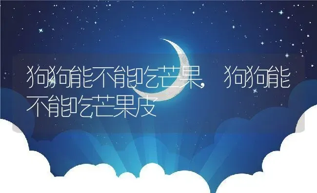 狗狗能不能吃芒果,狗狗能不能吃芒果皮 | 养殖资料