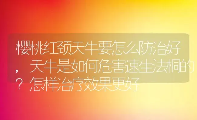 樱桃红颈天牛要怎么防治好,天牛是如何危害速生法桐的？怎样治疗效果更好 | 养殖学堂