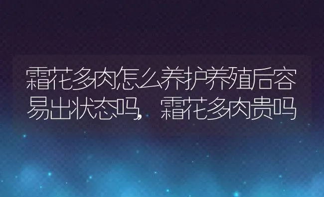 霜花多肉怎么养护养殖后容易出状态吗,霜花多肉贵吗 | 养殖学堂