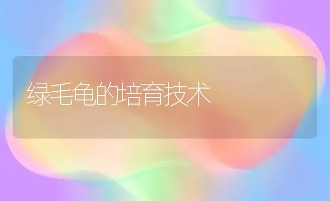 绿毛龟的培育技术 | 养殖知识